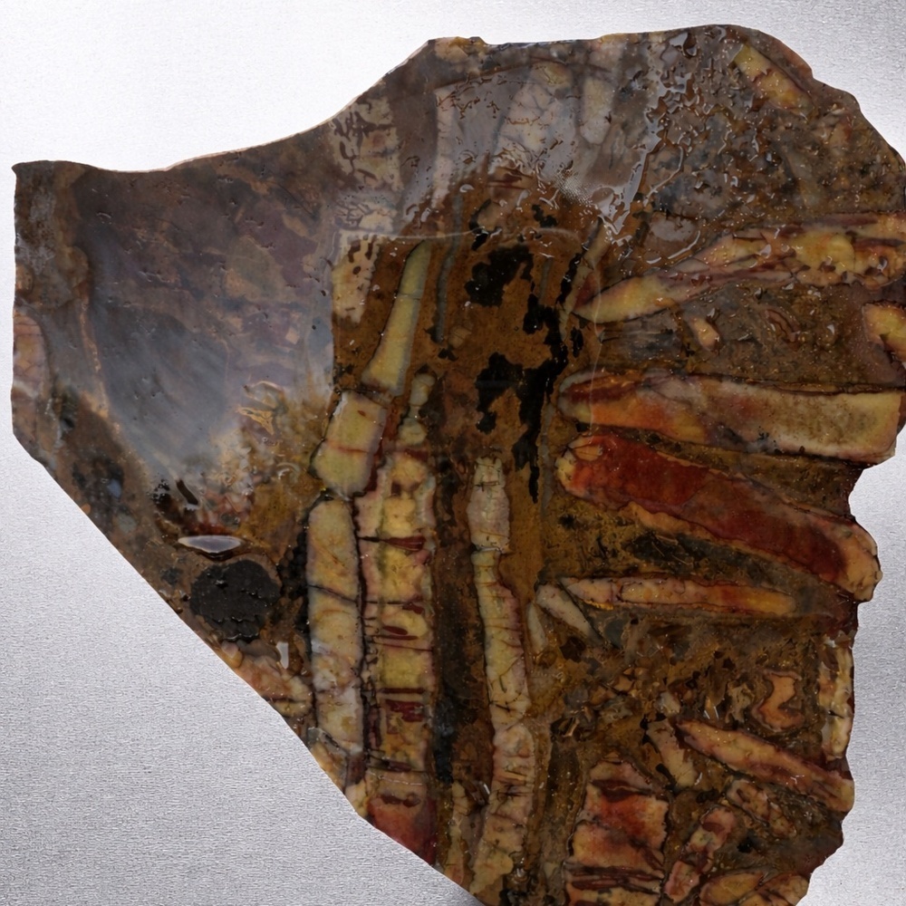 Andromeda jasper slab from Africa - Picture 2 of 6